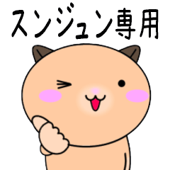 【スンジュンが使う】専用名前スタンプ