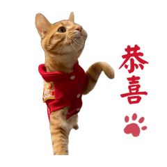 我叫屁孩，我超皮