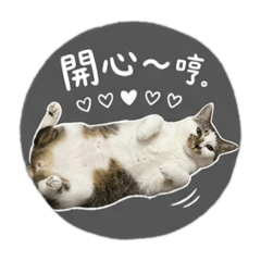 張牛牛的小心思
