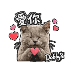 Dobby日常用語