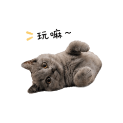 Begalgal 日常系列