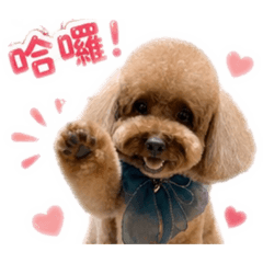 萌Q問候