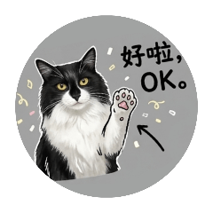 阿毛毛子