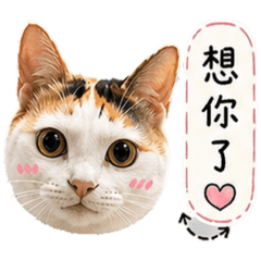 三霸王戀愛篇