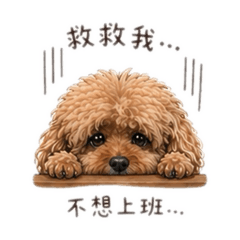 在成為貴賓的路上