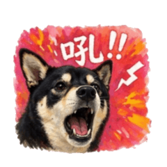 柴力雄厚之日常篇