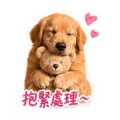 黃金獵犬Myumyu