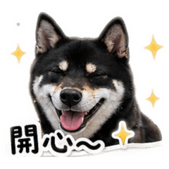 可愛黑輪