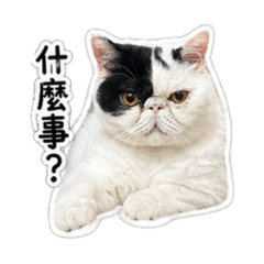 達底達