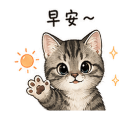 職場小貓の日常會話