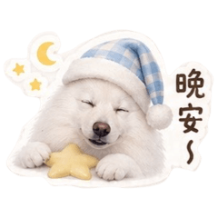 皮蛋是隻狐狸犬2