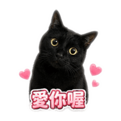 焦糖～