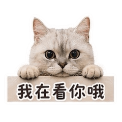 Hello！三寶！part 1！
