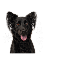 我是摳仔