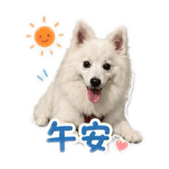 小冬の日常用語