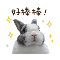 Ai 麻糬第二彈正式版