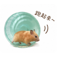 翁巧達和您請安～