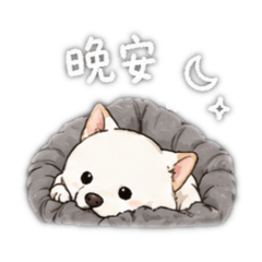Q版白色柴犬