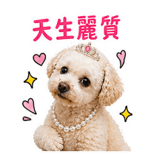 Eva女王就是命好