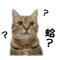 歐比的日常對話1.0