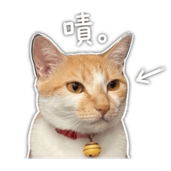 Lulu日常碎念