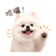 雪球寶寶123