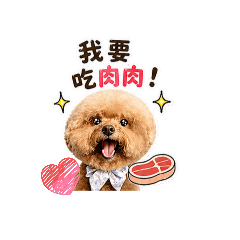 小小生活日常語錄