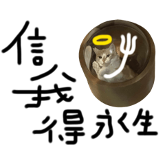貓咪日常w