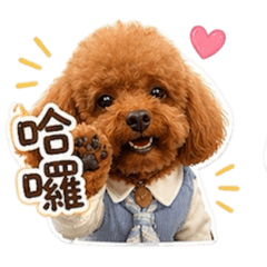 寶貝仔仔1
