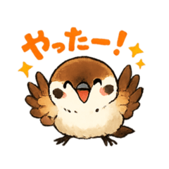 Shi_chan_20260511145810