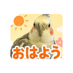 emiemi_20260511145912