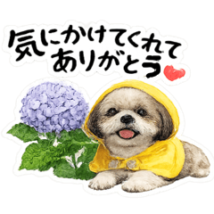 yururin_20260511151156