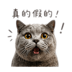 盧旺財
