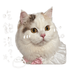 點點ㄉ可愛日常
