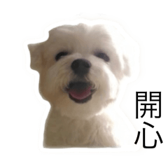瑪爾濟斯小乖2