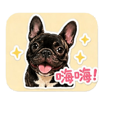 豆鯊包日常