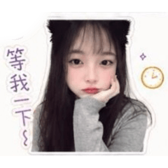 豬 1