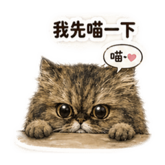 麗娜姐的日常
