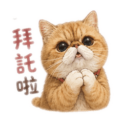 安吉老爺的日常