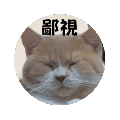 杜粒-4