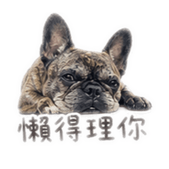 妞寶包表情包2