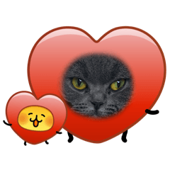 Kimily_20260511153917