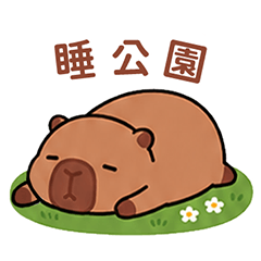 卡比巴拉-水豚君的眼神水亮亮特輯貼圖