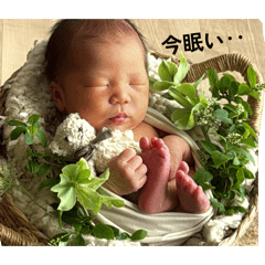 Ayaka_20260511155023