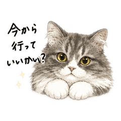Suzuichi_20260511173744
