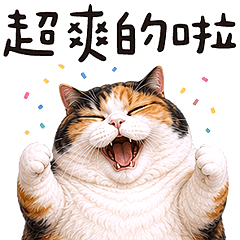 喵喵總動員 - 過胖喵喵