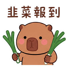 卡比巴拉-水豚君的韭菜大軍