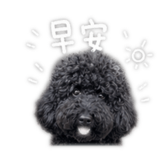 小狗家族哦