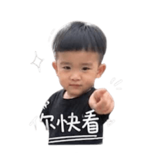 Shan BB 3