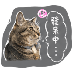 沙米素西小天地2